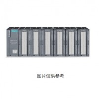 西门子变频器 I/O系统 SIMATIC ET 200PA SMART ，10 个 DIN A4 标签纸 / 6ES7650-8XA00-0AA0