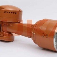 中心手 IW 300